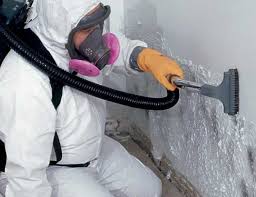 Best Commercial Mold Inspection  in Effingham, IL